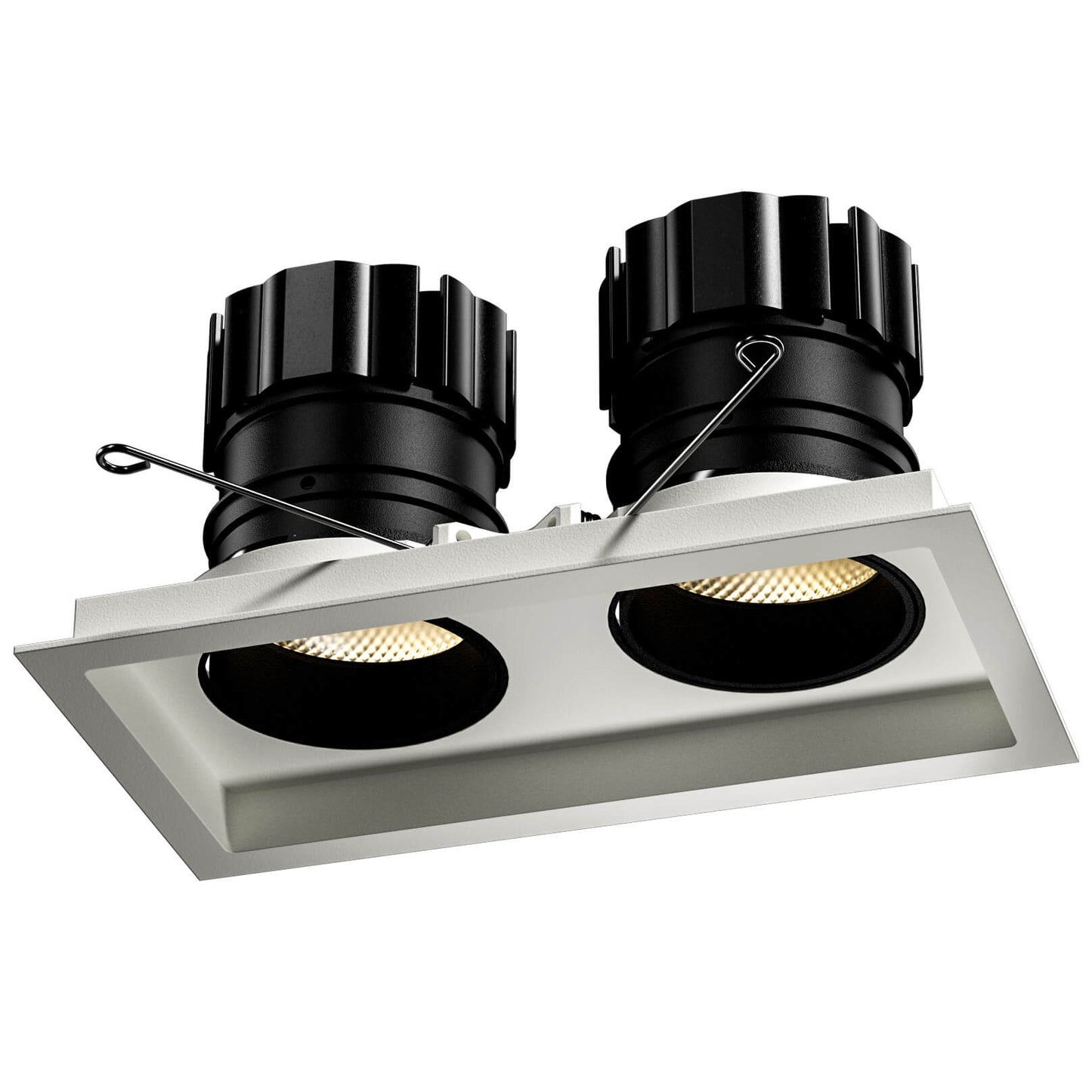 Look Twin adjustable LED downlight