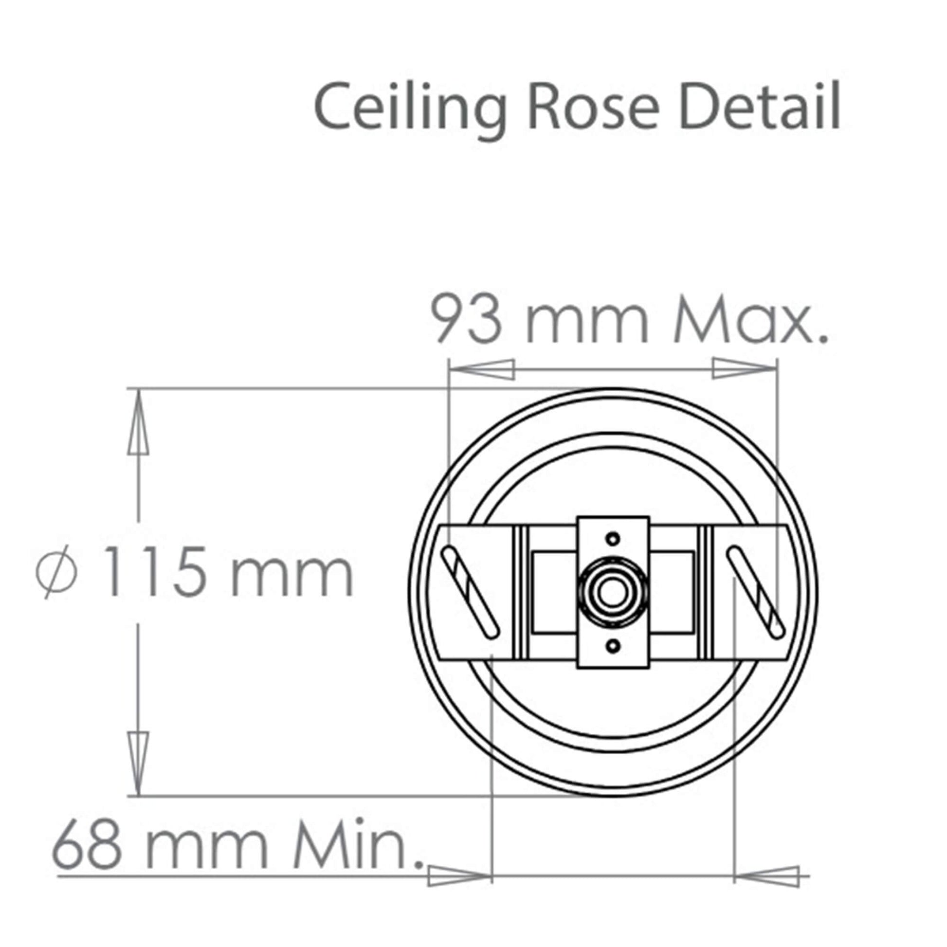 Large Petworth ceiling rose details